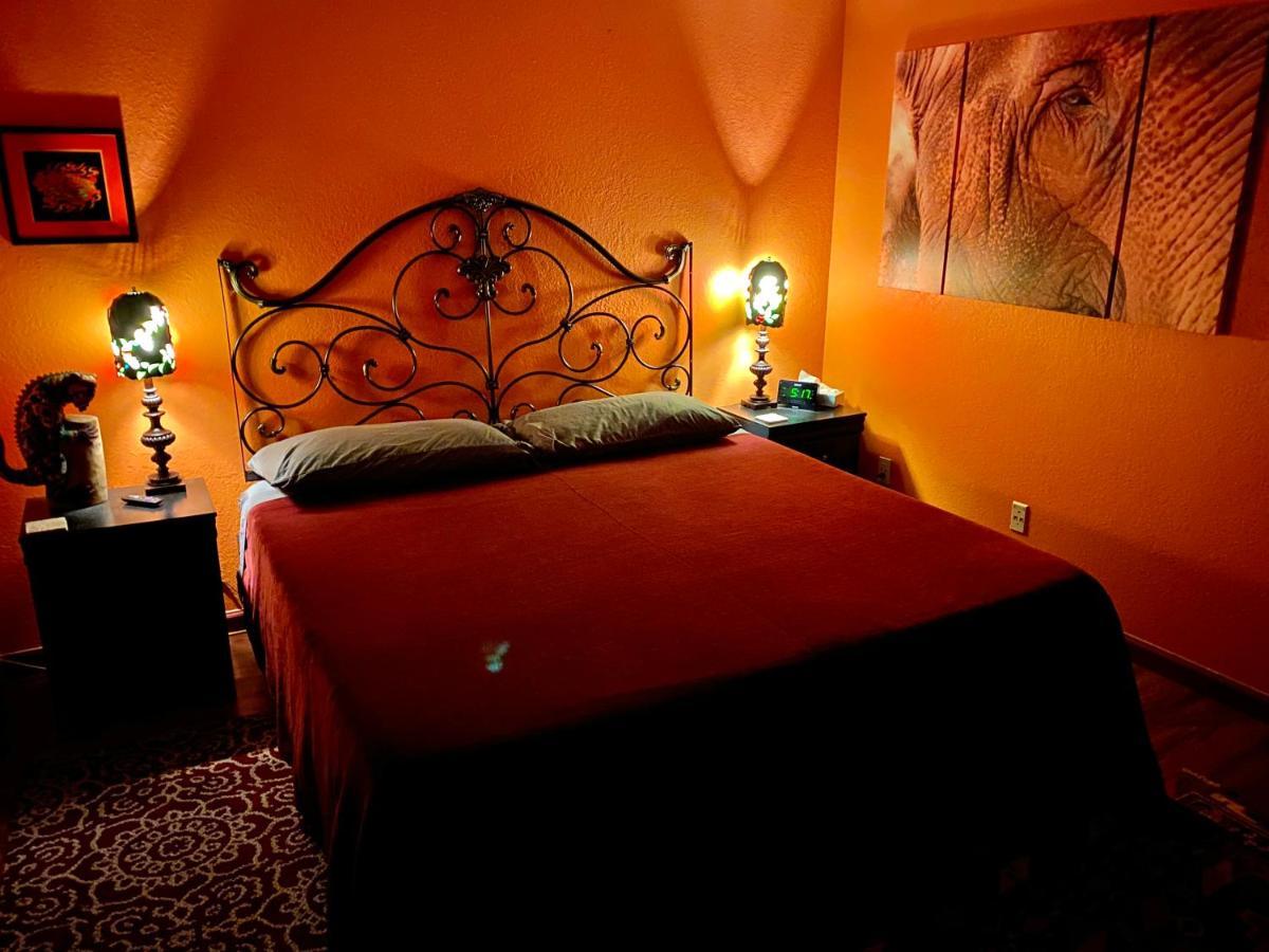 My Big Art Project Bed & Breakfast Santa Rosa Dış mekan fotoğraf