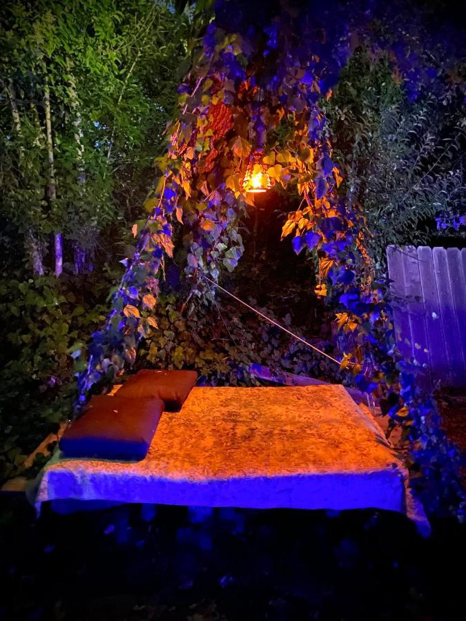 My Big Art Project Bed & Breakfast Santa Rosa Dış mekan fotoğraf